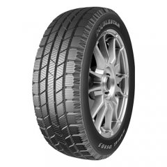 DoubleStar DS803