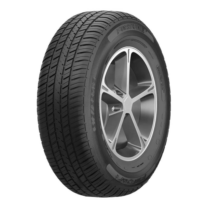 Fortune FSR-301